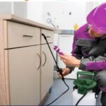 مكافحة الحشرات بالرياض